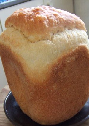ホシノ天然酵母とパネトーネマザーで食パン-レシピのメイン写真