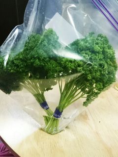 簡単便利!生パセリの保存-レシピのメイン写真
