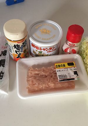 時短 豚ひき肉と白菜のどんぶり-レシピのメイン写真