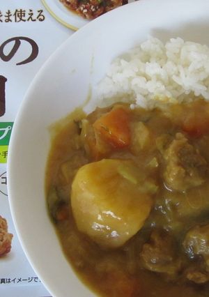 大豆のお肉のヘルシーカレー-レシピのメイン写真