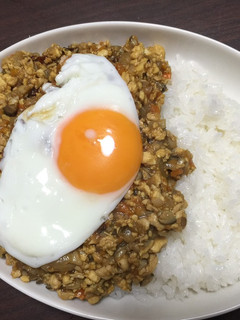 男料理 豆腐とささみのキーマカレー風-レシピのメイン写真