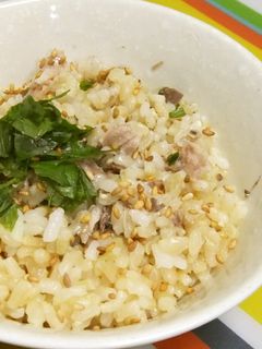発芽米とサバの炊き込みご飯-レシピのメイン写真