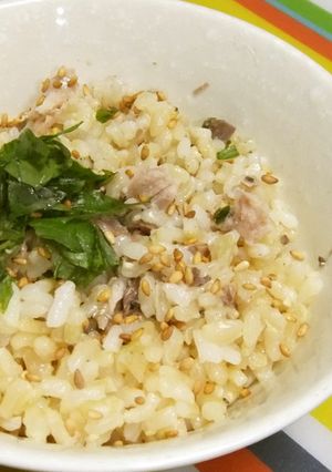 発芽米とサバの炊き込みご飯-レシピのメイン写真