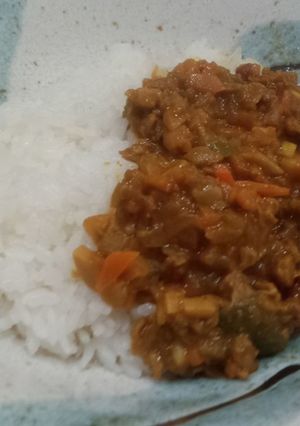 ヘルシードライカレー-レシピのメイン写真