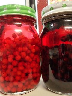 ナツハゼの実の果実酒-レシピのメイン写真