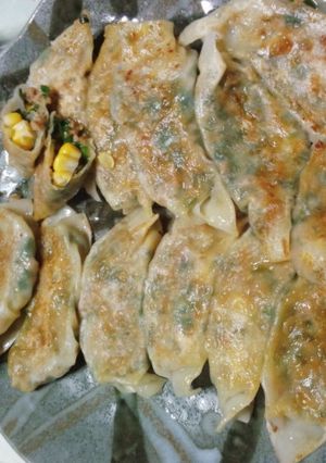 大豆のお肉の餃子-レシピのメイン写真