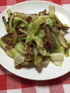 大豆のお肉でオイマヨ炒め-レシピのメイン写真