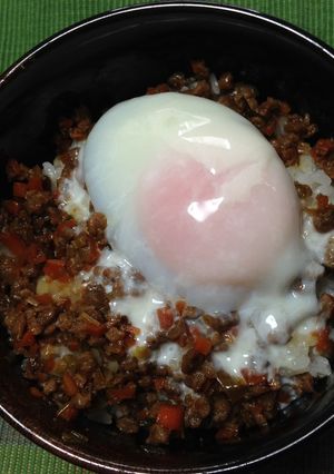 ヘルシー♪大豆の肉そぼろ丼-レシピのメイン写真