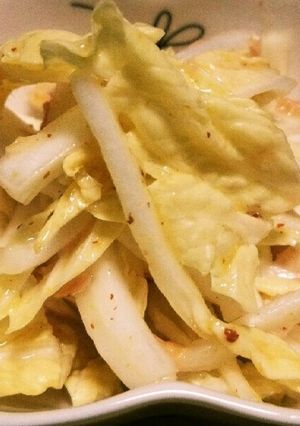 冬こそ！白菜のさっぱりサラダ-レシピのメイン写真