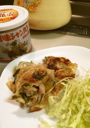 餃子の皮でセロリ葉消費-レシピのメイン写真