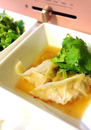 香草おろしポン酢ダレ・お家で簡単薬膳-レシピのメイン写真