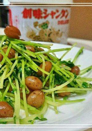 お弁当お野菜おかず:豆苗とピーナッツ-レシピのメイン写真