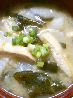 簡単朝食 白菜とワカメ 油揚げのお味噌汁-レシピのメイン写真