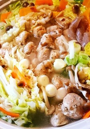 BRITAで鶏肉団子の塩麹鍋-レシピのメイン写真