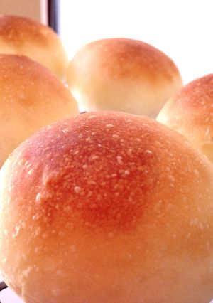 丸パン（自分用メモ）-レシピのメイン写真