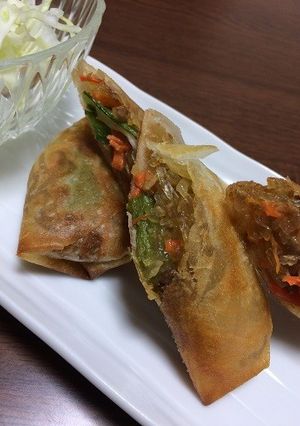 大豆のお肉で♪簡単春巻き-レシピのメイン写真