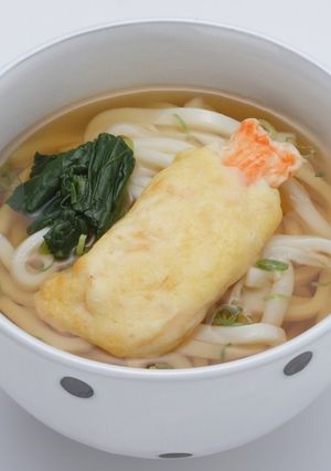 介護食　天ぷらうどん-レシピのメイン写真