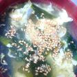 創味シャンタンDXでニンニクスープ☆