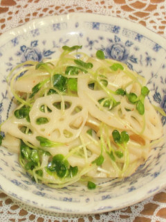蓮根とカイワレのピリ辛中華和え-レシピのメイン写真