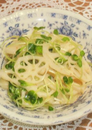 蓮根とカイワレのピリ辛中華和え-レシピのメイン写真