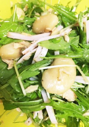 手亡と水菜の3分サラダ-レシピのメイン写真