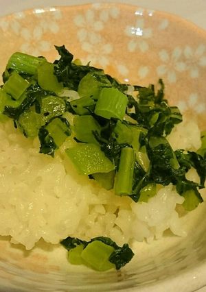 ご飯に☆大根の葉炒め-レシピのメイン写真