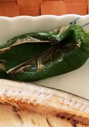 ししとう☆焼くだけ-レシピのメイン写真