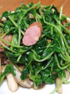 ササッと簡単!豆苗としめじのニンニク炒め-レシピのメイン写真