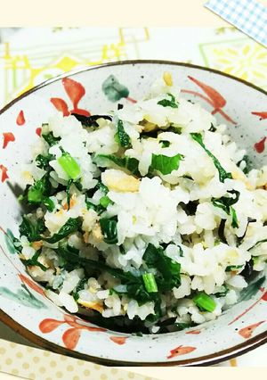 大根葉と鮭フレークで簡単混ぜご飯！-レシピのメイン写真