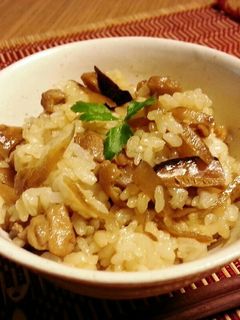 鶏とゴボウのほっこり混ぜご飯-レシピのメイン写真
