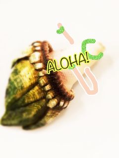 魚屋直伝!フラダンスな亀の手-レシピのメイン写真
