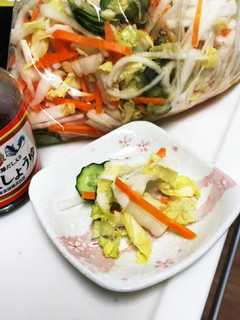 やみつき細切り漬け物-レシピのメイン写真