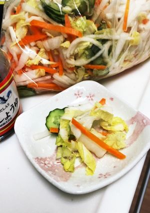 やみつき細切り漬け物-レシピのメイン写真