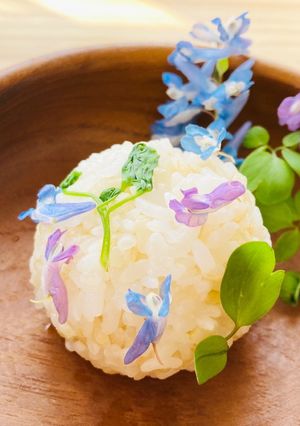 エゾエンゴサクのおにぎり-レシピのメイン写真