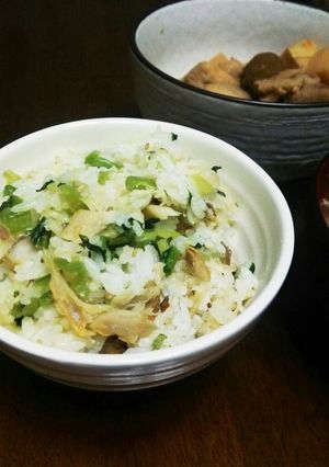 発芽玄米で☆干物と漬物の混ぜご飯-レシピのメイン写真