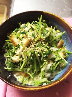 簡単5分!豆苗とちくわの梅マヨポン和え-レシピのメイン写真