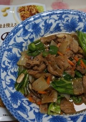 大豆のお肉と野菜のピリ辛炒め-レシピのメイン写真