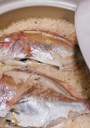 簡単美味しい！土鍋で鯛飯-レシピのメイン写真