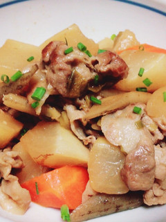 豚肉と根菜の煮物-レシピのメイン写真