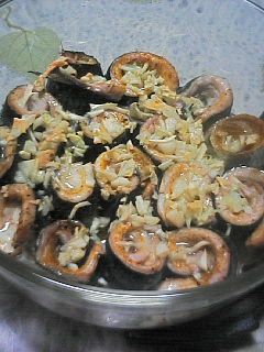 いわしのクルクルオーブン焼き☆-レシピのメイン写真