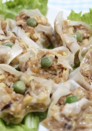 大豆のお肉でヘルシーシュウマイ-レシピのメイン写真