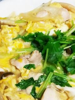 【覚え書き】親子丼(皿)-レシピのメイン写真