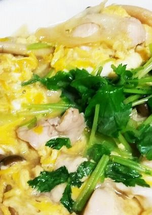 【覚え書き】親子丼(皿)-レシピのメイン写真