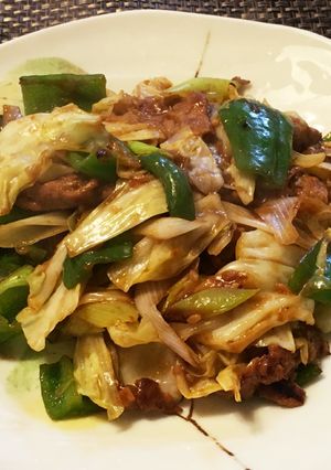 ヘルシー回鍋肉♪-レシピのメイン写真