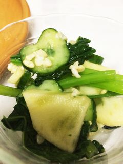 塩麹で漬け物サラダ♩-レシピのメイン写真
