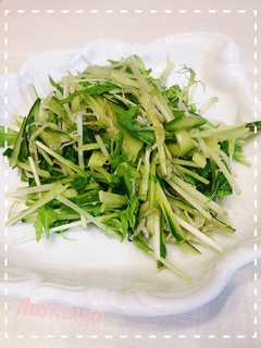 水菜ちりめんじゃこサラダ-レシピのメイン写真