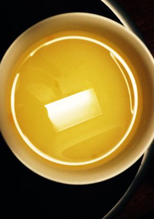 ミカン缶の汁ゼリー-レシピのメイン写真