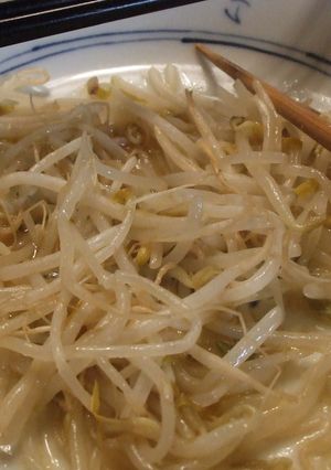 レンジで簡単もやしだけ-レシピのメイン写真