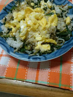 大根抜き菜とちりめんじゃこの混ぜご飯-レシピのメイン写真