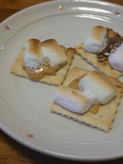 クラッカーで焼きマシュマロ-レシピのメイン写真